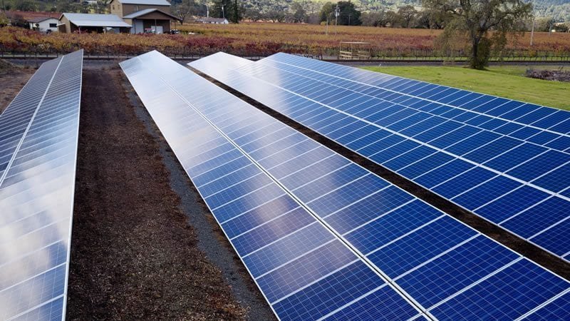 coldwell-solar-mustards-grill